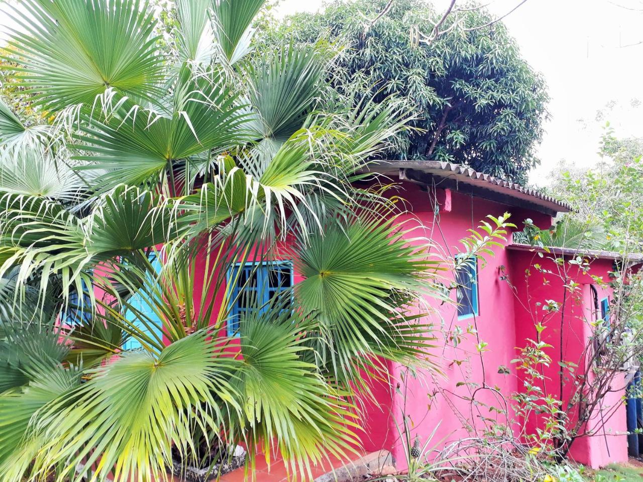 Casa Maya Santa Catalina Esterno foto